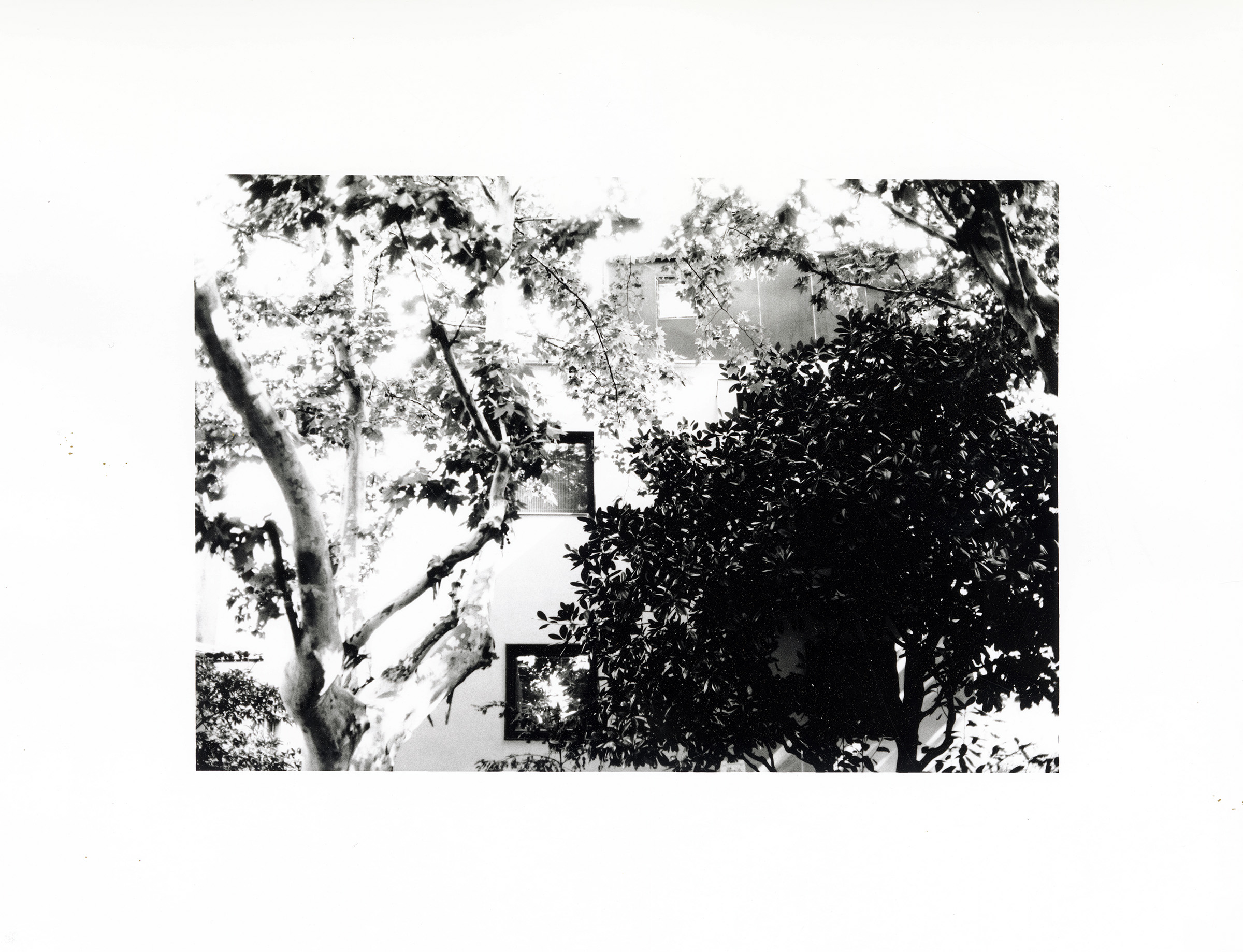 Reframed Still — frame 4