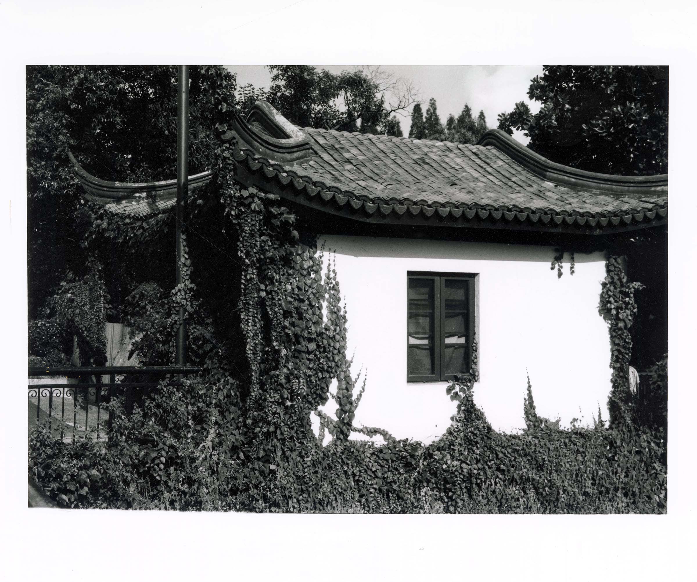 Reframed Still — frame 6